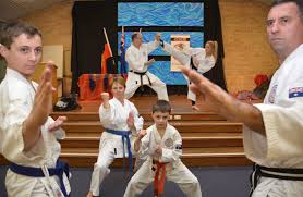 Image result for Springwood Karate