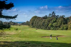 Image result for Beith Golf Club