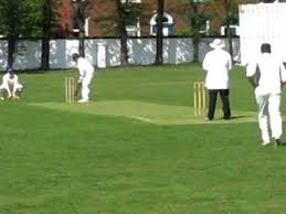 Image result for Werneth Cricket Club