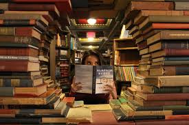 Image result for Reading