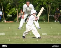 Image result for Carlton Cricket Club