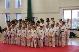 Image result for Torbay Taekwondo Schools
