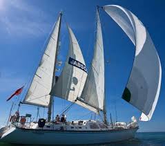 Image result for London Sailing Project