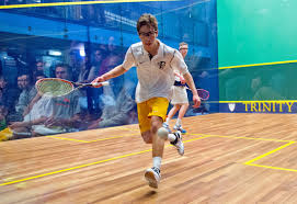 Image result for Tavistock Squash Club