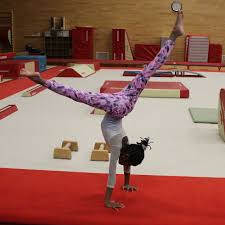 Image result for Europa Gymnastics Club, Bexley