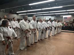 Image result for Professional  Martial Arts Academy