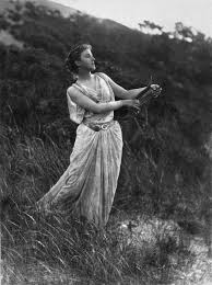 Attēlu rezultāti vaicājumam “Physarum luteolum young”