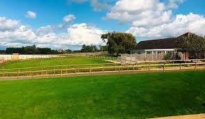 Image result for Shey Copse Riding Centre