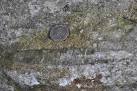 More sizes. Belemnite in the Marlstone Formation - via Daymix