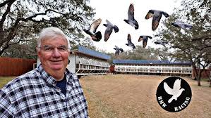 Image result for Meridian Racing Pigeon Lofts