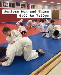 Image result for Phoenix Star Judo Club (Southwick)