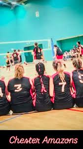 Image result for Ellesmere Port Eels Volleyball Club