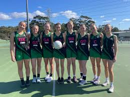 Image result for Halton Netball Club
