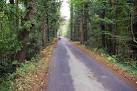4 km from Harman's Cross, Dorset, Great Britain - via Daymix