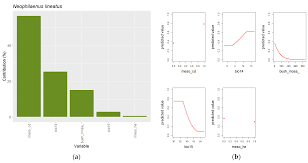 Attēlu rezultāti vaicājumam “Neophilaenus lineatus”
