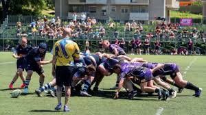 Image result for Bingham Rugby Union Football Club