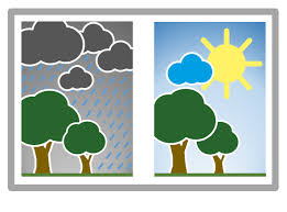 Image result for wetter