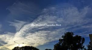 Attēlu rezultāti vaicājumam “Cirrus fibratus”