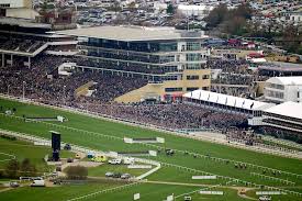 Image result for Cheltenham Cc