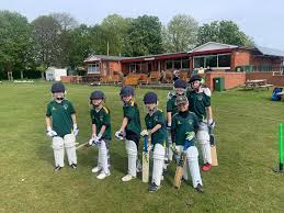 Image result for Morpeth Junior Cricket Club
