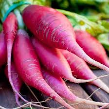 Attēlu rezultāti vaicājumam “Raphanus sativus”