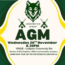 Image result for Ludgvan Cc