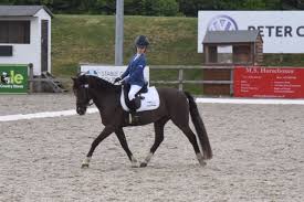 Image result for Cranleigh School Stables