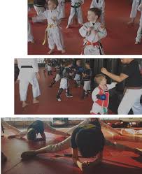 Image result for Elite Martial Arts Academy