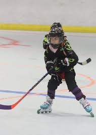 Image result for Vipers Roller Hockey Team