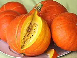 Image result for Kürbis