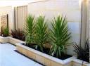 Tropical garden designs - garden plans and layouts