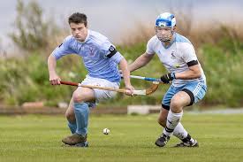 Image result for Skye Camanachd
