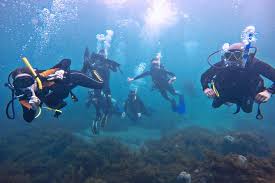 Image result for TAL Divers