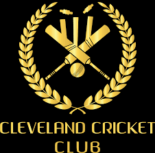 Image result for Cimla Cricket Club