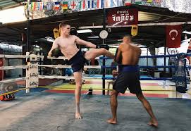 Image result for S J T B Thai Boxing Gym