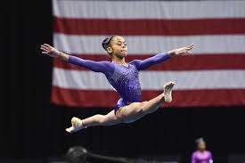 Image result for Arabian School Of Gymnastics