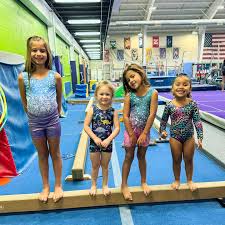Image result for Aspire Gym Academy