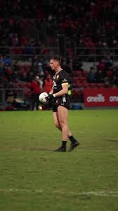 Image result for Patrick Sarsfield Gaelic Athletic Club