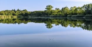 Image result for Cobham Court Angling Club