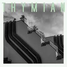 Image result for Thymian
