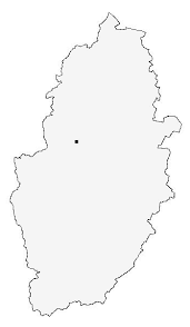 Attēlu rezultāti vaicājumam “Dictenidia bimaculata male”