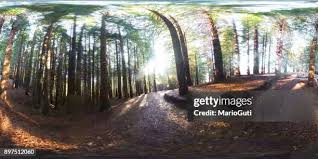 Image result for equirectangular