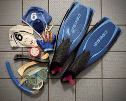 Image result for Tewkesbury and Cheltenham Underwater Hockey Club