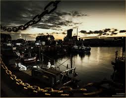 Image result for Whitstable Cc