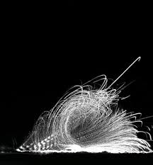 Attēlu rezultāti vaicājumam “Ochropsora ariae spores”