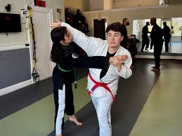 Image result for Aj Independent Martial Arts
