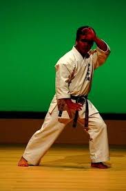 Image result for kyokujitsu Kai
