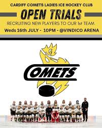 Image result for Cardiff Comets Ladies Ice Hockey