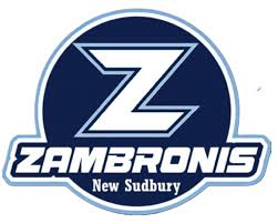 Image result for Sudbury Tchoukball Club