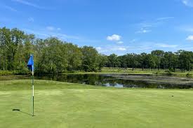 Image result for Wood Green Bowling Club